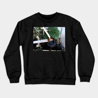 Photo of Deer Scarer in a Japanese Garden Crewneck Sweatshirt